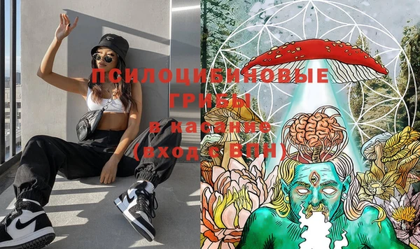 ГАЛЛЮЦИНОГЕННЫЕ ГРИБЫ Бронницы