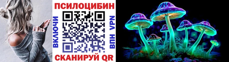 наркошоп  Корсаков  Галлюциногенные грибы MAGIC MUSHROOMS 