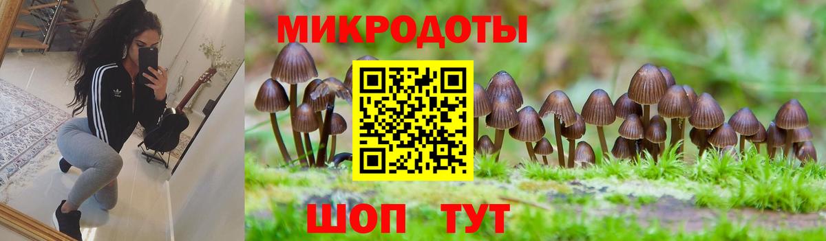 Корсаков  Галлюциногенные грибы прущие грибы  Галлюциногенные грибы Psilocybine cubensis  Вход с VPN 